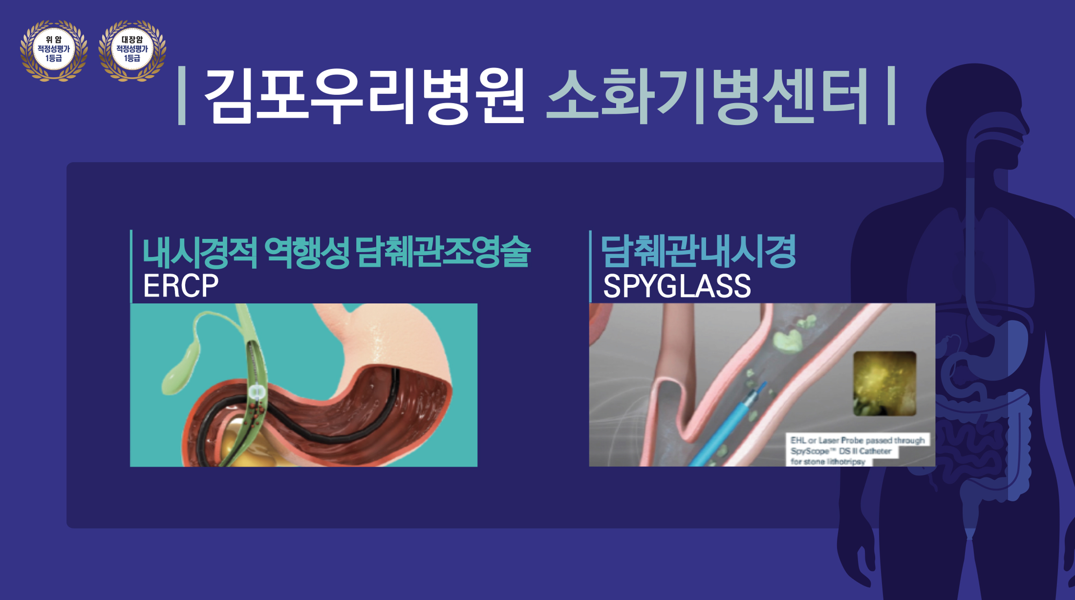 ERCP/담췌관내시경영상URL