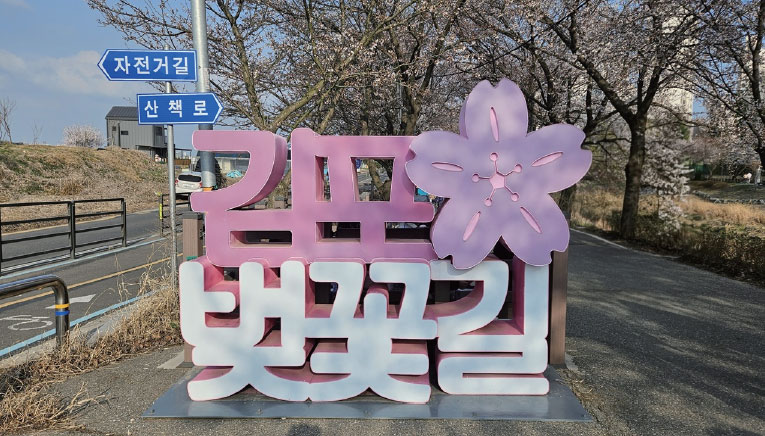 김포 벗꽃길