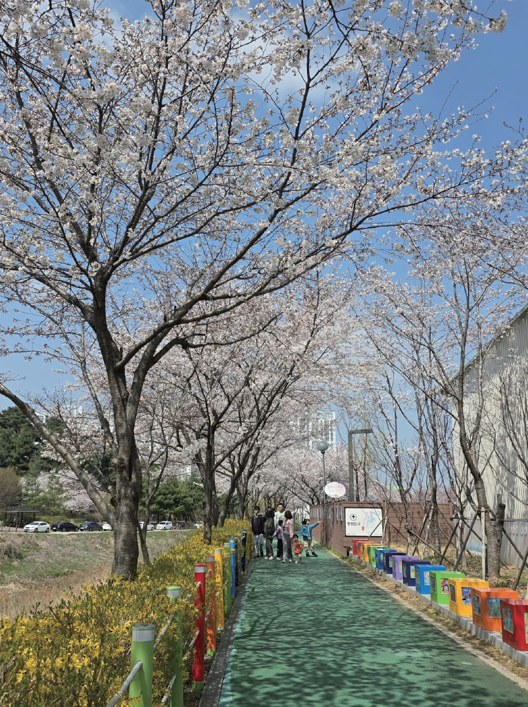 김포 벗꽃길